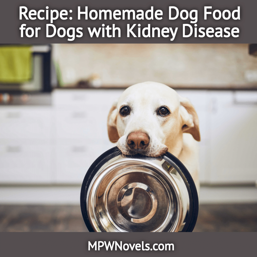 Recipe: Homemade Dog Food for Dogs with Kidney Disease